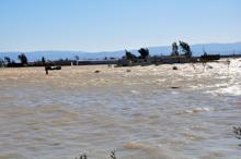 Kurutulan göl alanı sular altında: Bilanço ağır