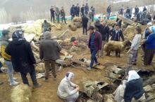 Çatakta üzücü olay! Yüzlerce hayvan telef oldu