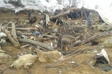 Çatakta üzücü olay! Yüzlerce hayvan telef oldu