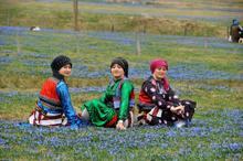 'Mor yayla'ya ziyaretçi akını