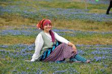 'Mor yayla'ya ziyaretçi akını