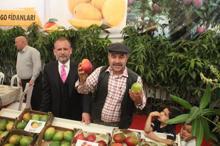 Yerli mango üreticiye tanıtıldı