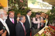 Yerli mango üreticiye tanıtıldı