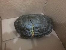 Öğretim görevlisinden örnek davranış!