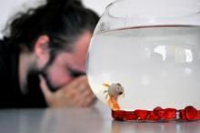 Prof. Dr. Altun: Süs balığı besleyeceksek yaşam hakkına saygı duymalıyız