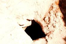 Heyecanlandıran keşif! Tesadüfen bulundu