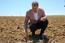 Yerli tohumu yaygınlaştırmak amacıyla Silivri'de ekimler yapıldı