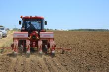 Yerli tohumu yaygınlaştırmak amacıyla Silivri'de ekimler yapıldı