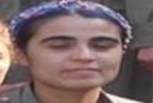 Tunceli'de 5 PKK'lı terörist etkisiz hale getirildi