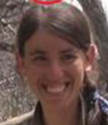 Tunceli'de 5 PKK'lı terörist etkisiz hale getirildi