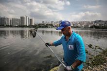 Küçükçekmece Gölü'nde tedirgin eden balık ölümleri