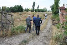 Mahalleyi istila ettiler! Kimse türünü bilmiyor