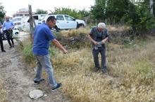 Mahalleyi istila ettiler! Kimse türünü bilmiyor