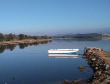 Çiçek Adası'nın satışı yine gündemde! Adaya Çin, Katar ve Almanlar talip
