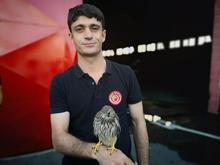 Çatıdan düşen  4 atmaca yavrusu korumaya alındı