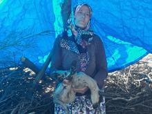 Yangından kurtulan kuzu ölen küçükbaşların içinde annesini aradı