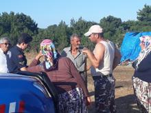 Yangından kurtulan kuzu ölen küçükbaşların içinde annesini aradı