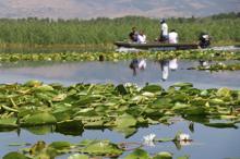Nilüferleriyle ünlü Işıklı Gölü, görsel şölen sunuyor