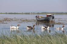 Nilüferleriyle ünlü Işıklı Gölü, görsel şölen sunuyor