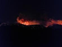 Dalaman'da orman yangını