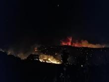 Dalaman'da orman yangını