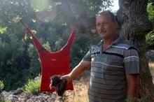 Çiftçinin ilginç yöntemi: Tarlanın etrafına insan saçı serpiyor, tişörtlere parfüm sıkıyor...