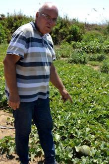 6 ayda 300 farklı yerli tohum elde edildi