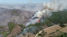 Bursa'da orman yangını