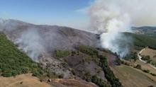 Bursa'da orman yangını