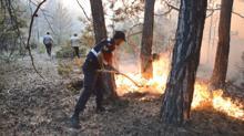 Eskişehir’de orman yangını