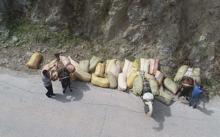 Hasadı yapılan fındığın zorlu yolculuğu