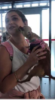 Sevimli köpek 'Barbie'den havalimanında gülümseten karşılama