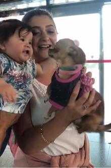 Sevimli köpek 'Barbie'den havalimanında gülümseten karşılama