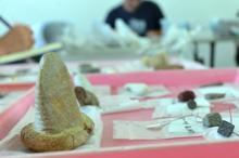 Taş Çağı'na ait en büyük arkeolojik kazı alanı Kahramanmaraş'ta