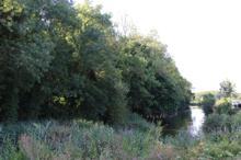 Sadece bilim insanlarının girebildiği orman, projeyle gezilecek