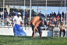 Malkara Fehmi Özkan Yağlı Güreşleri'nde başpehlivan Serhat Gökmen oldu