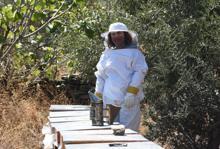 Kadın arıcının azmi, çevresine örnek oldu