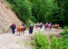 Yaylacılar dönüş yolunda