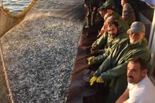 Egeli balıkçılar, ışıklı avlanmada kendilerinin örnek alınmasını istiyor