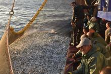 Egeli balıkçılar, ışıklı avlanmada kendilerinin örnek alınmasını istiyor