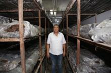 Mantarın başkenti Korkuteli