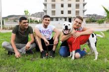 'Ruhsatı olmayan pitbull beslemesin'