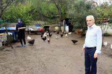 Yeşil renkli yumurta üretimi ile taleplere yetişemiyor