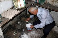 Yeşil renkli yumurta üretimi ile taleplere yetişemiyor