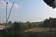 Kenevir üreterek Türk çiftçisine örnek olacaklar