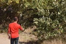 Nemrut’ta elle beslenen yavru ayılar için harekete geçildi