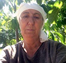 Kızı öldü, anne 18 gündür yaşam savaşı veriyor; dünyanın en zehirli mantarını yemişler