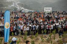 'Bugün fidan, yarın nefes'