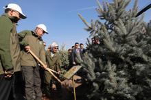 Cumhurbaşkanı Erdoğan: Onlar yaktılar, biz diktik