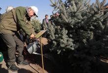 Cumhurbaşkanı Erdoğan: Onlar yaktılar, biz diktik